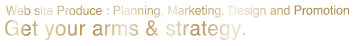 Web site Produce:Planning,Marketing,Design and Promotion. Get your arms & strategy.